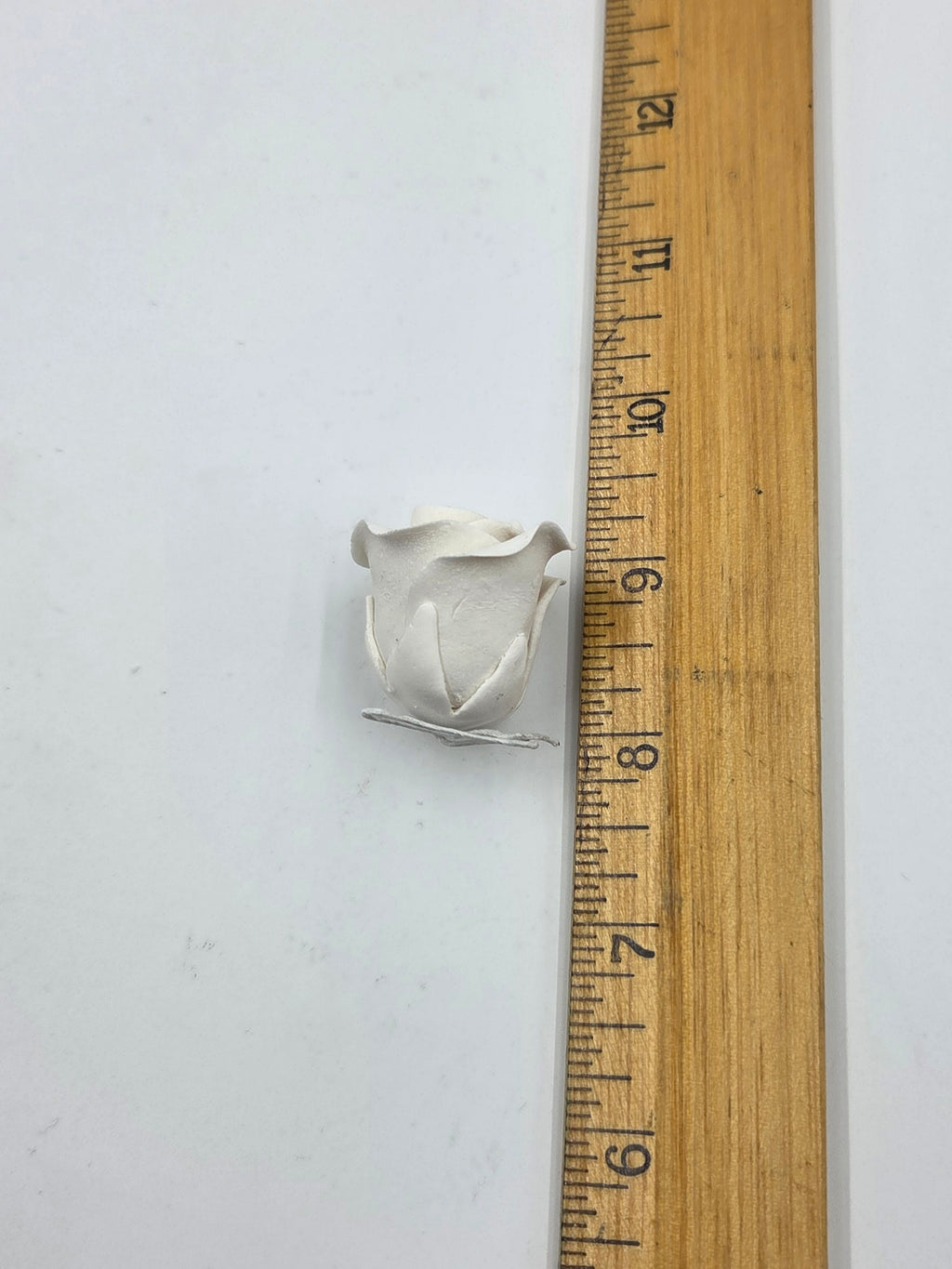 Rose Tea Small 7pc. White