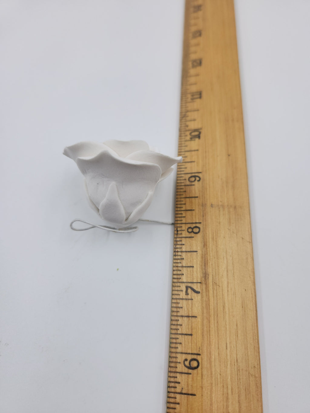 Tea Rose Medium 7pc. White (180 159 0102 80)