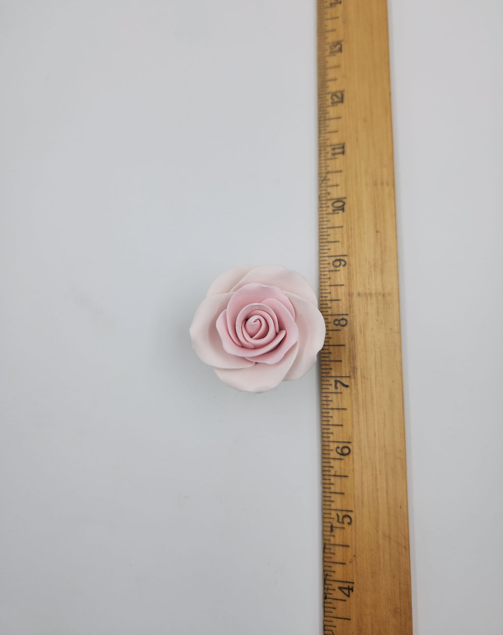 Tea Rose Medium 6pc. Pink (180 159 0102 50)
