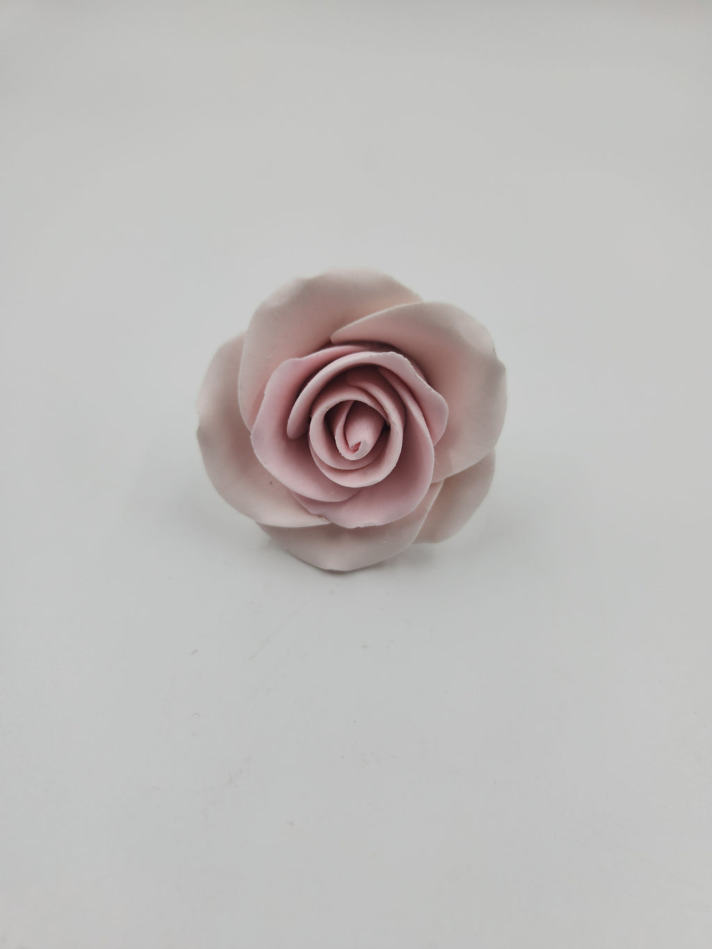 Tea Rose Medium 6pc. Pink (180 159 0102 50)