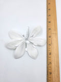 Stargazer 2pc. White No Dot (216A)