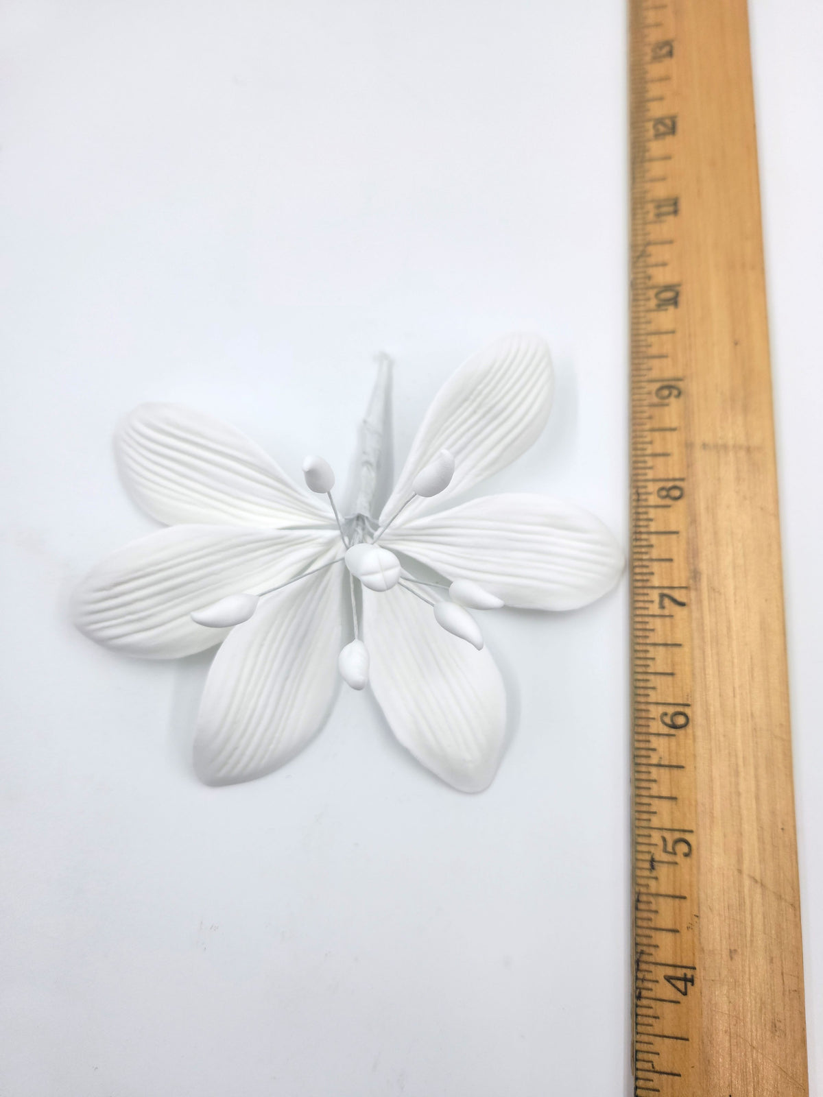 Stargazer 2pc. White No Dot (216A)