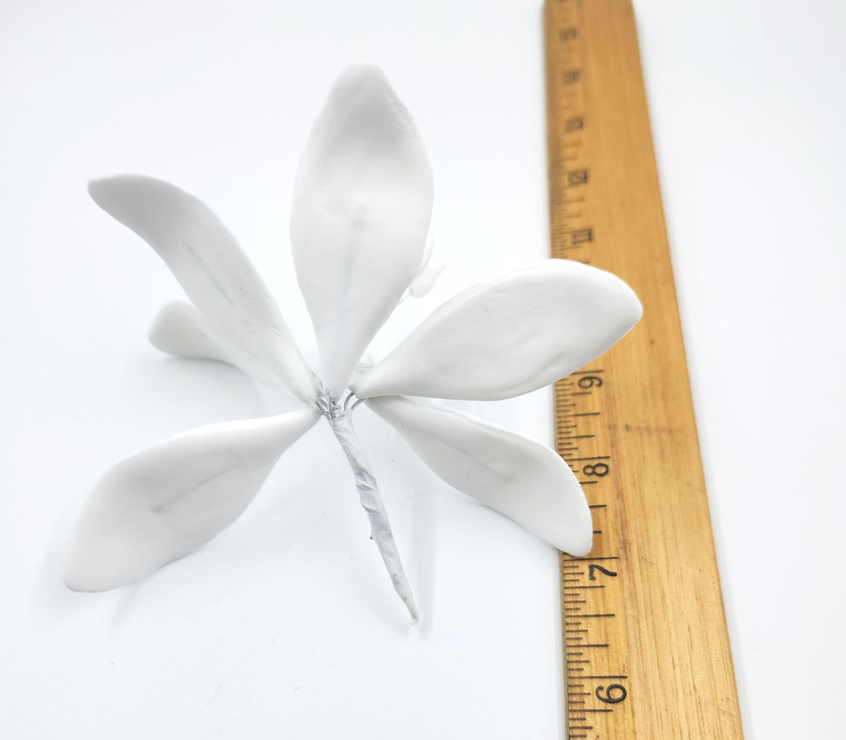 Stargazer 2pc. White No Dot (216A)