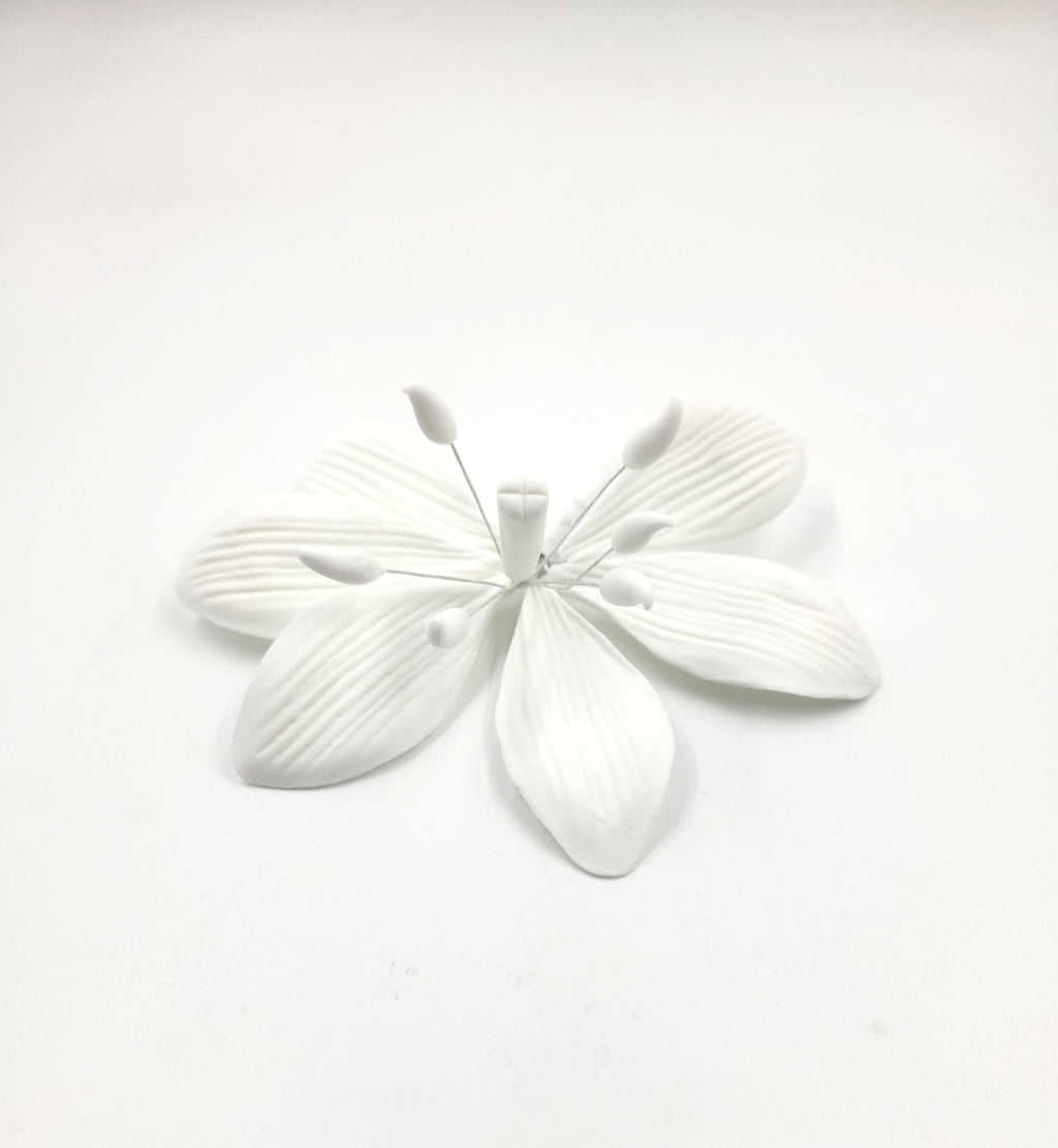 Stargazer 2pc. White No Dot (216A)