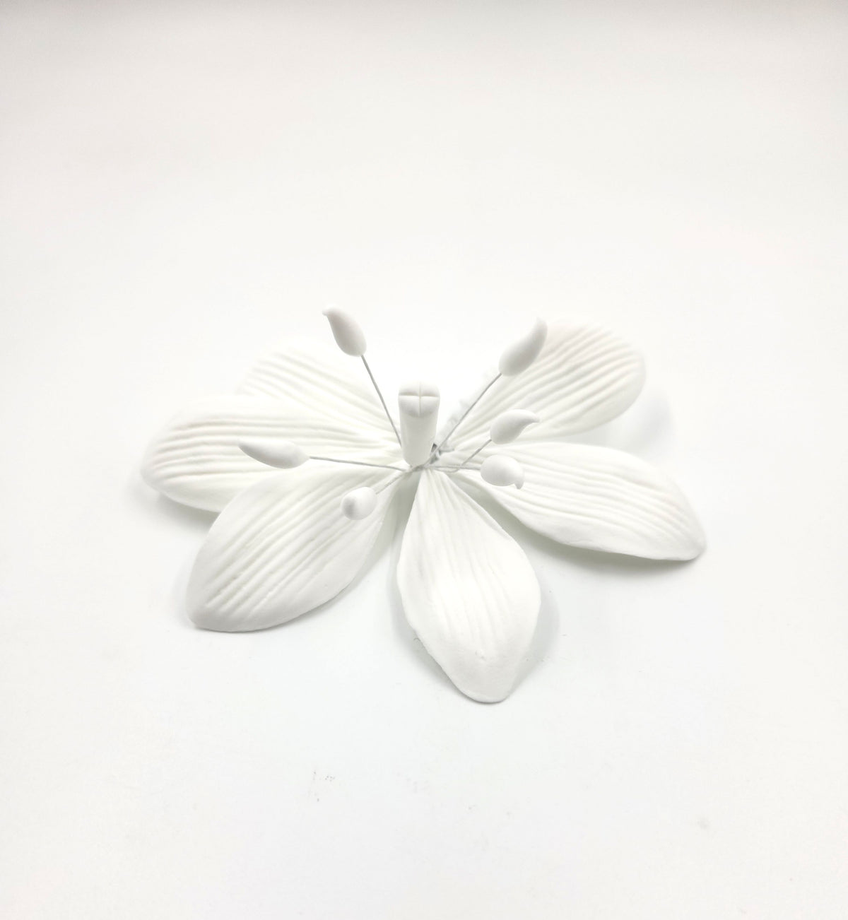 Stargazer 2pc. White No Dot (216A)