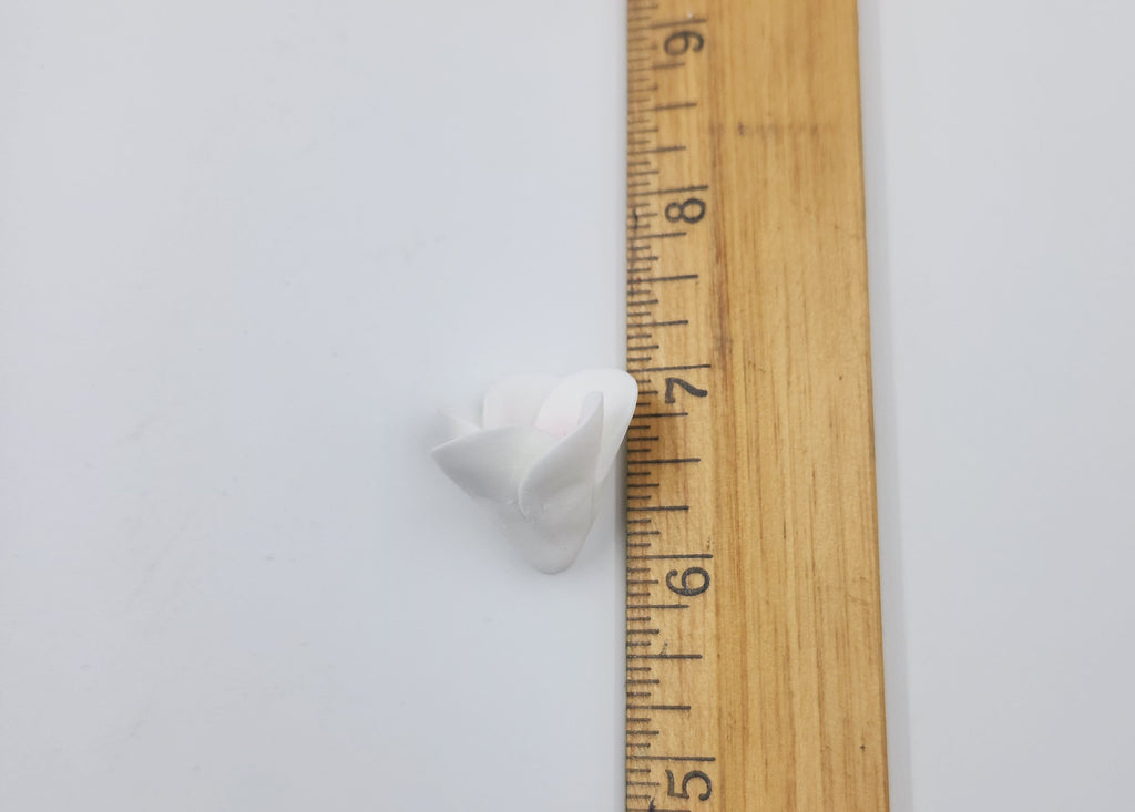 Frangipani 1 1/4" 8pc. White/Pink (607)