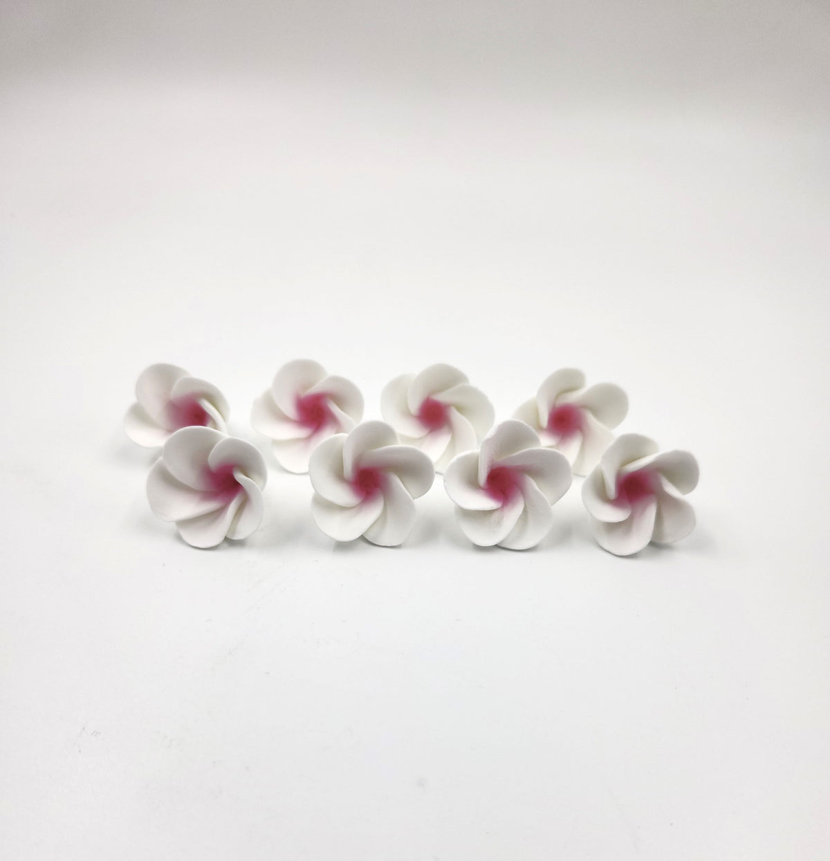 Frangipani 1 1/4" 8pc. White/Pink (607)