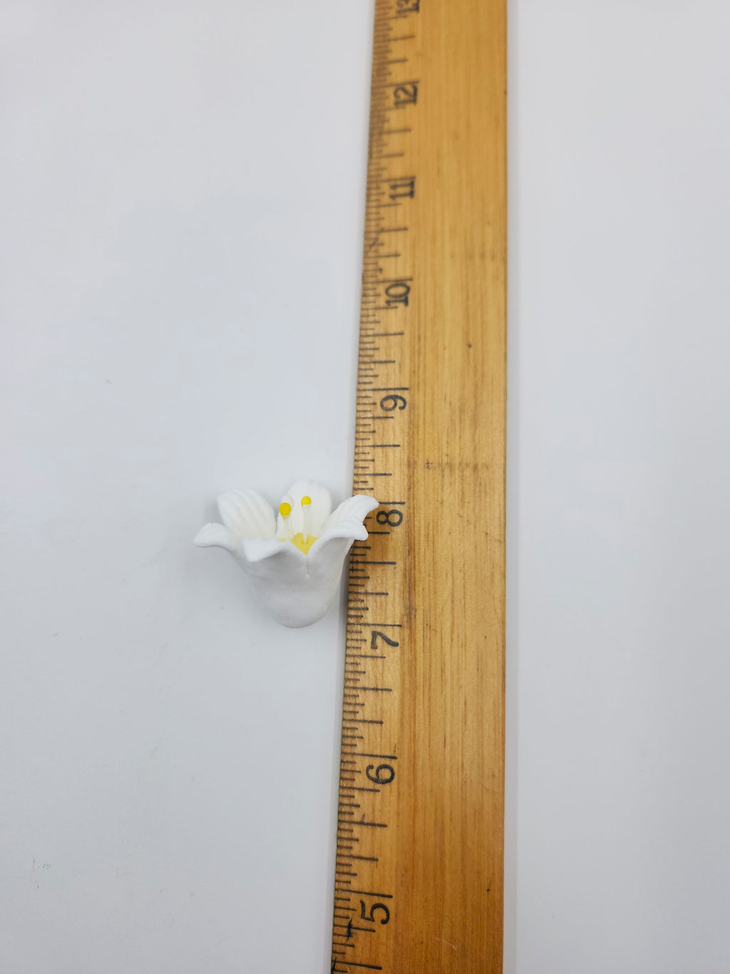 Gumpaste Floreal Flower 40mm 8pc. White (560)