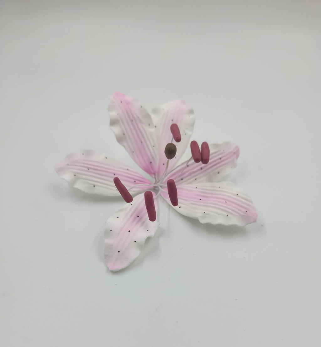 Rubrum Lily 2pc. Pink (588)